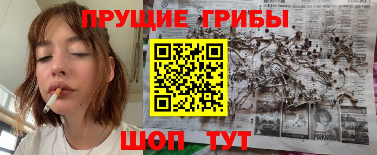 Сарапул  Галлюциногенные грибы прущие грибы  Вход с VPN 